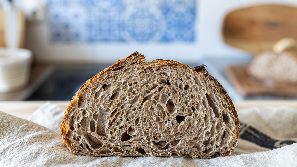 Whole wheat sourdough crumb